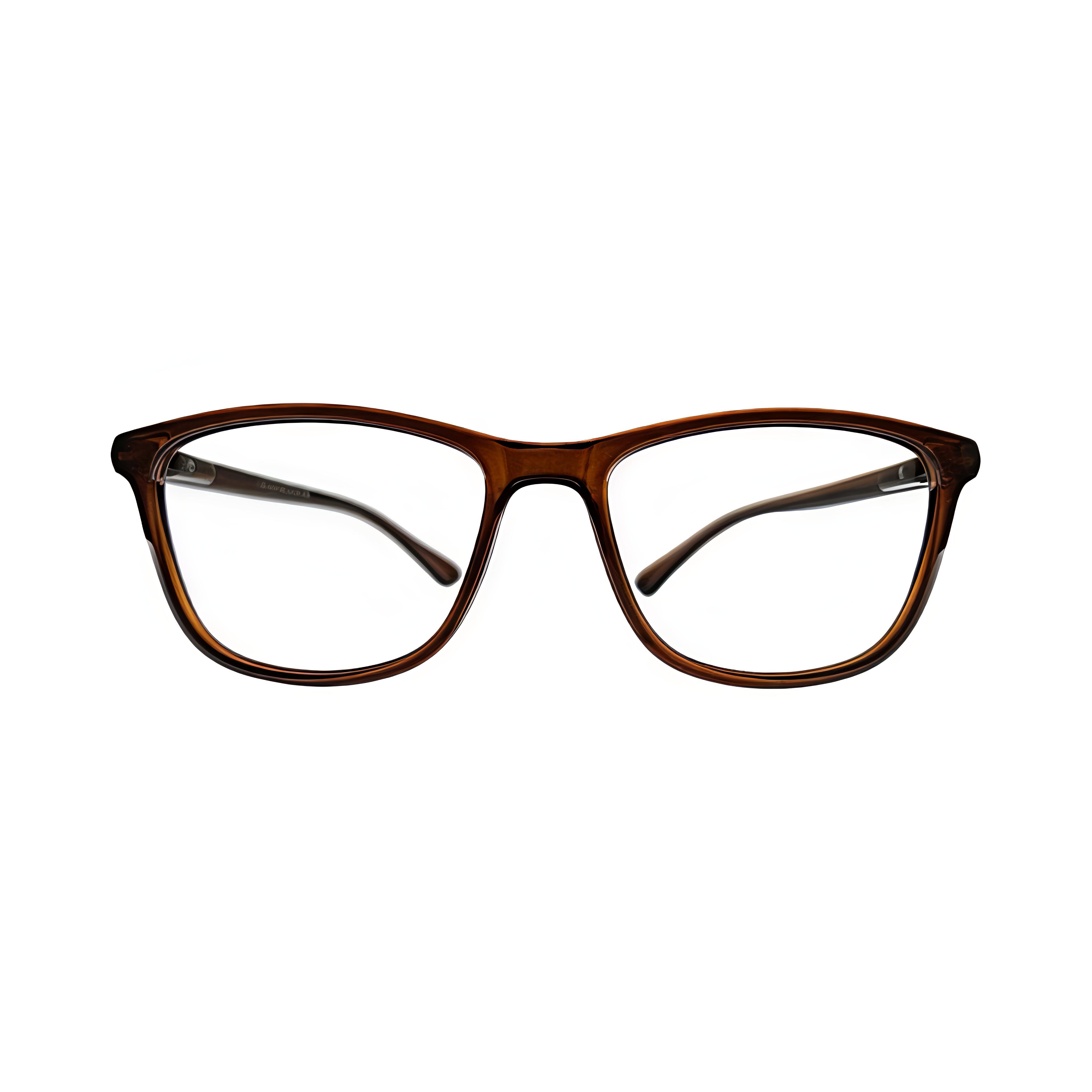 Stinic Eyewear Wayfarer Mini Brown